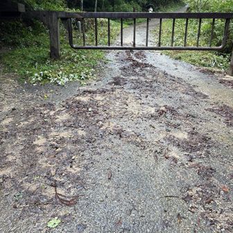久しぶりの山遊び💨
