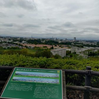 晴れていれば富士山も見える展望スポット
でも十分気持ちいい