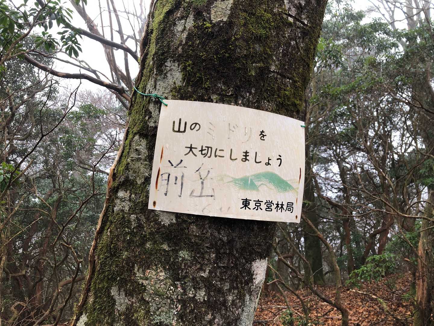 看板に味があります😆