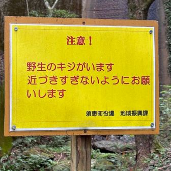 遭遇したい