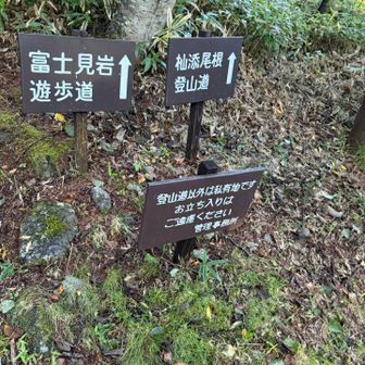 駐車場は5:30でちょうどいっぱい🈵になり