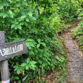 尾根道へ