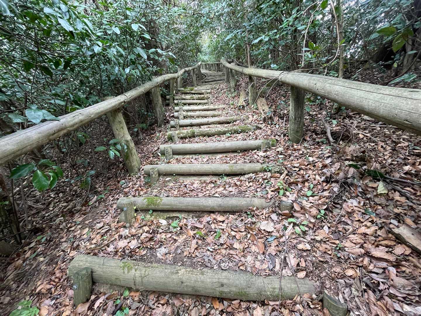 大平山 往復コースの写真