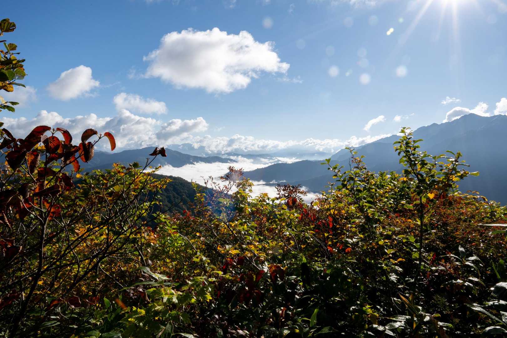 すっかり日も登りました