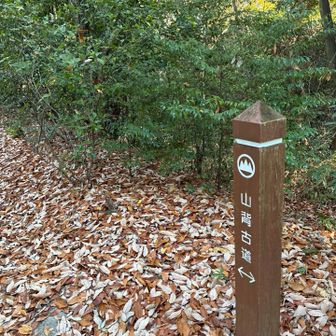 道標は少なくて道路にマークがある所が多い