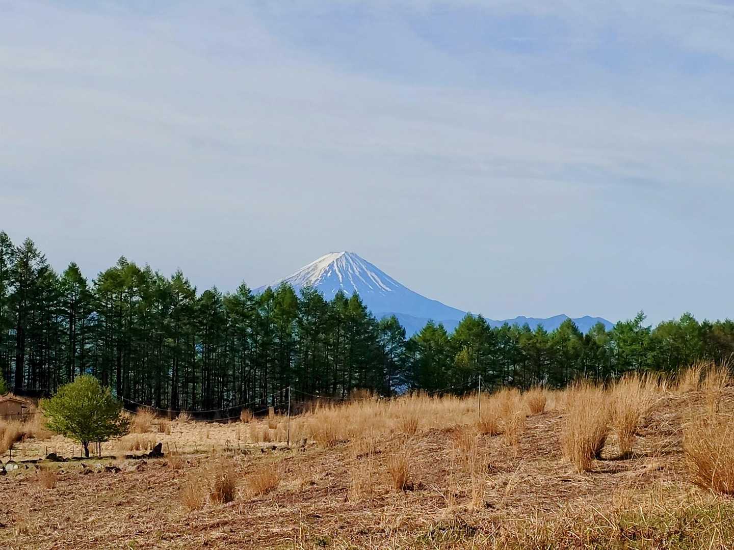 今日の富士山