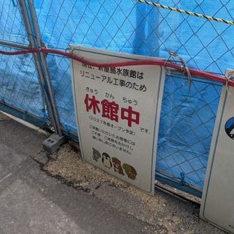 わりと楽しみです。