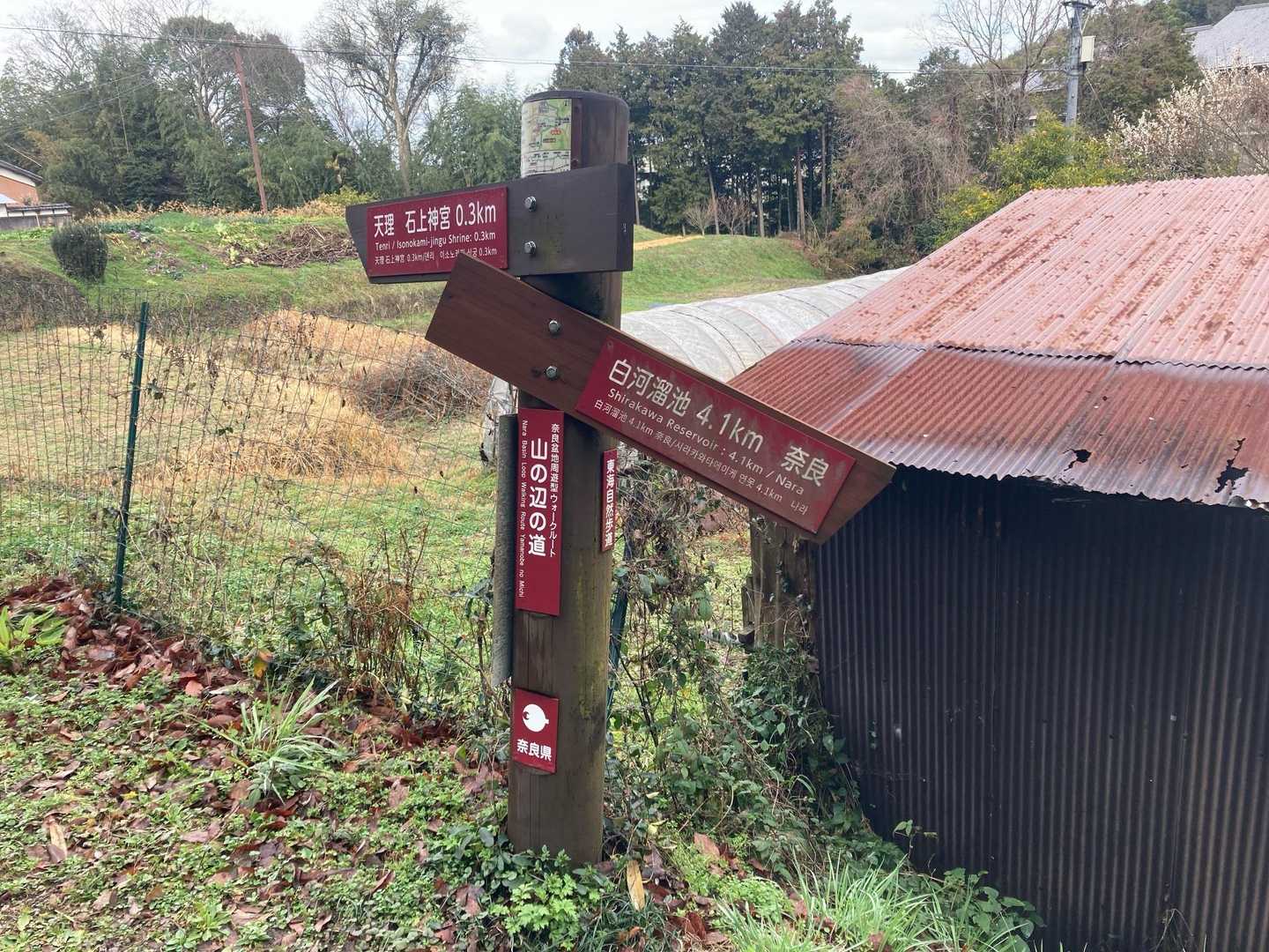 ここここここ👇