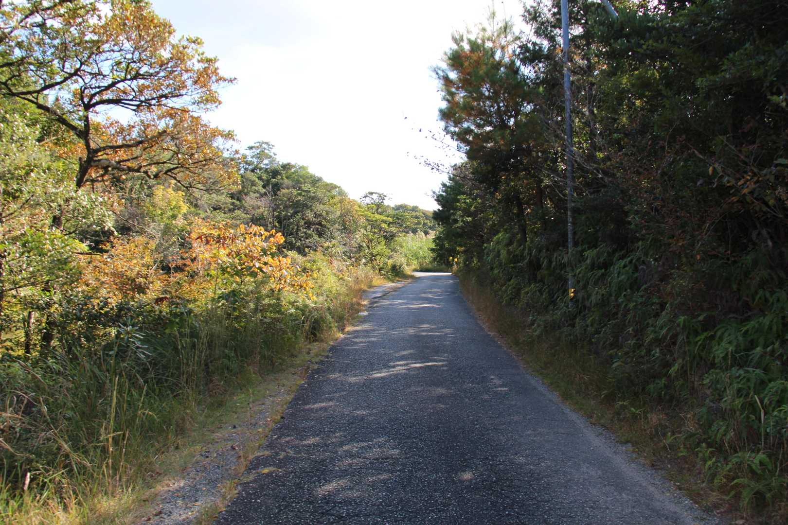 降りてから駐車場まで舗装路です。