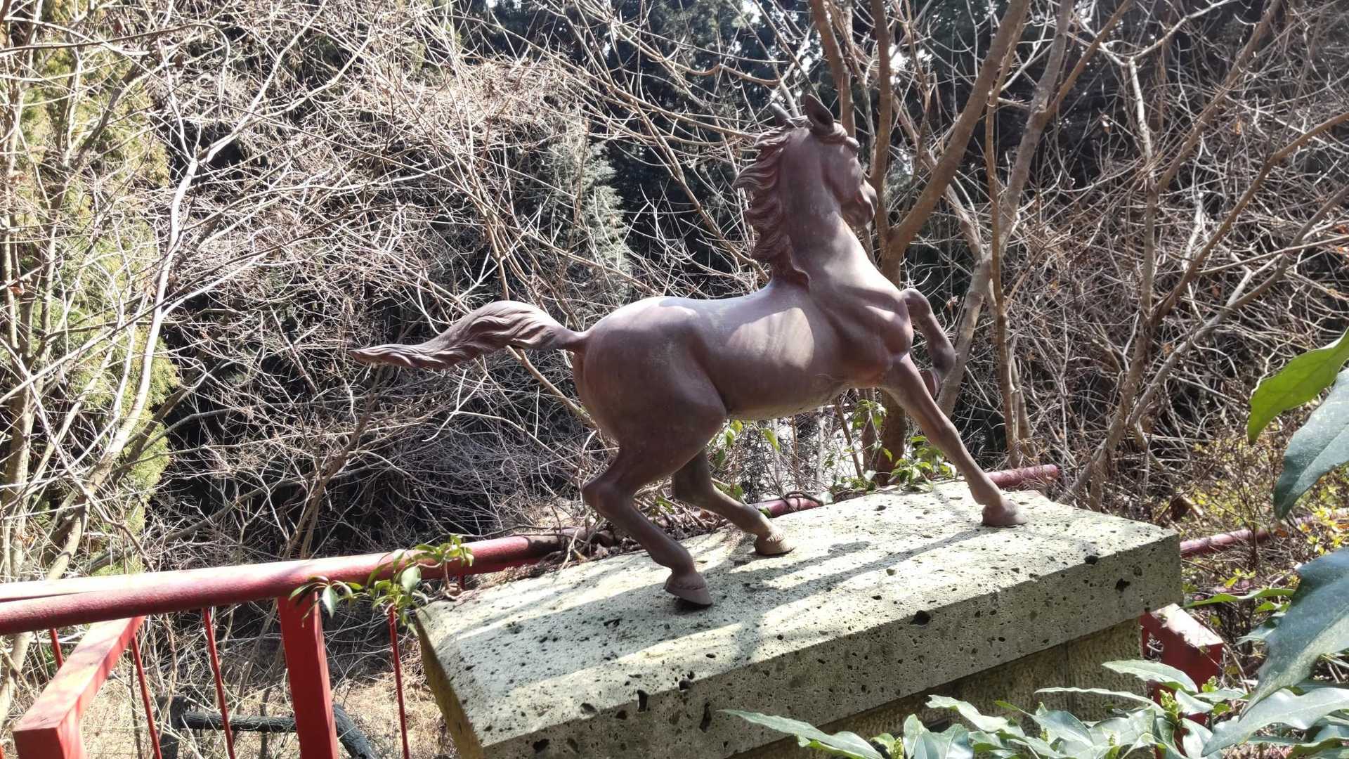 神馬