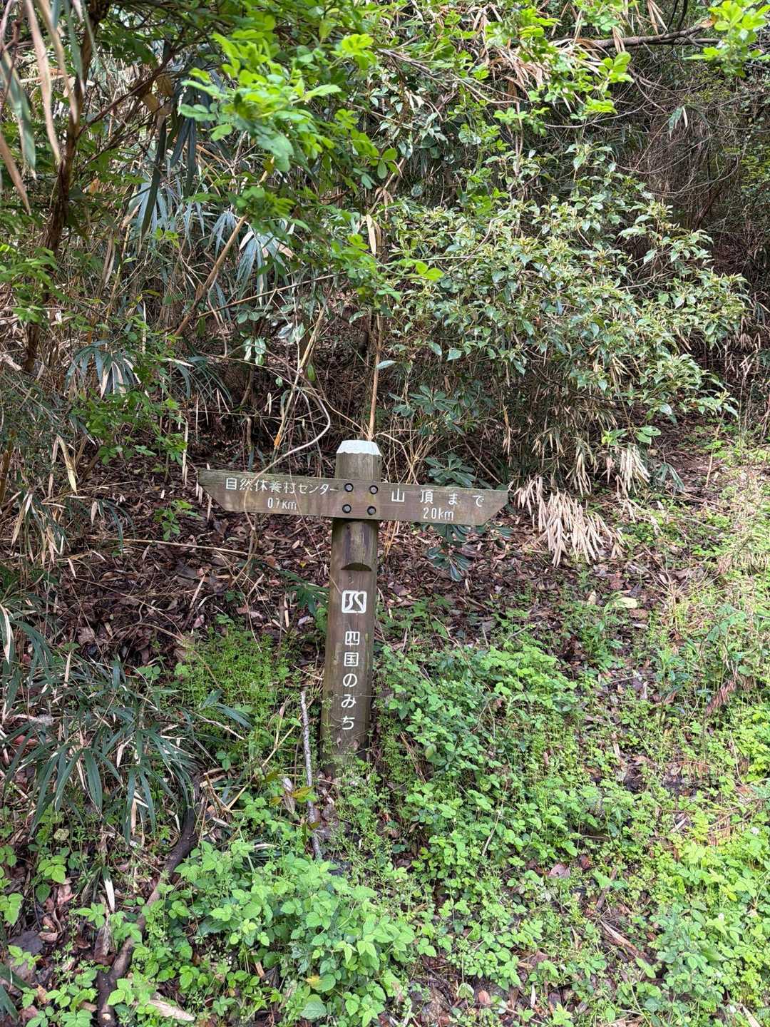 山頂まで2キロ