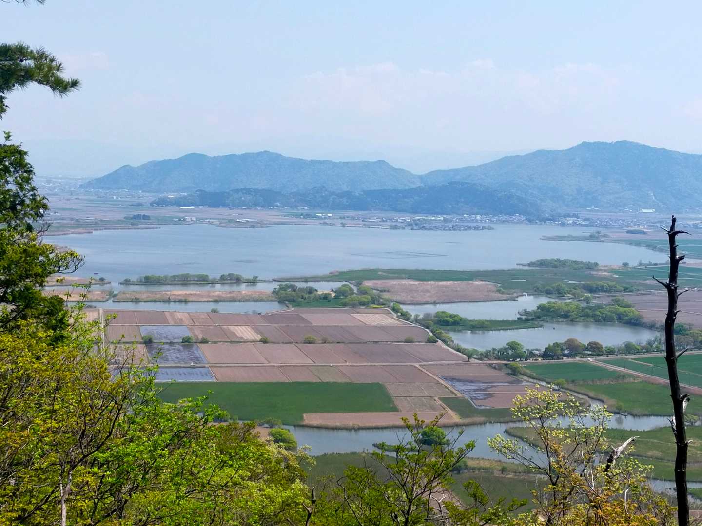 西の湖
