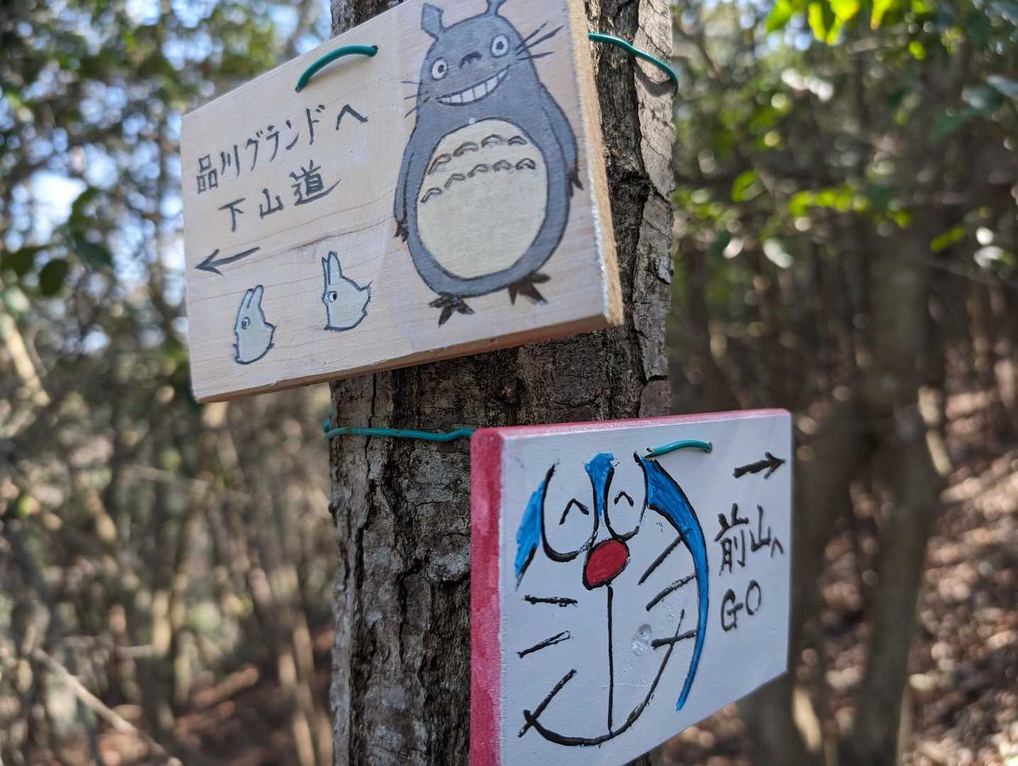富田松山城跡登山口-富田松山-雨乞い跡地-前山 周回コースの写真