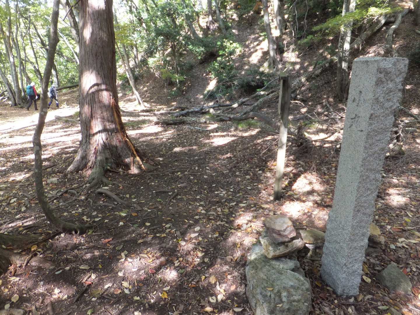 京極丸の上の小丸跡
浅井二代目久政の屋敷跡
小谷城攻めの際、秀吉に搦め手の清水谷から京極丸を攻められ、孤立して久政はここで自刃します。