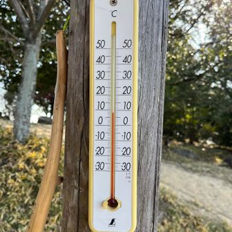 9℃くらい。風もなく快適な温度。