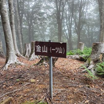 金山（一ツ山）山頂