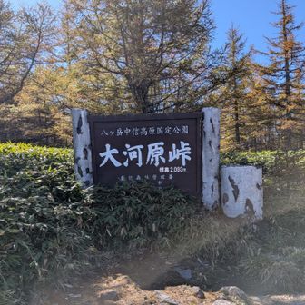 立派な登山口の標識