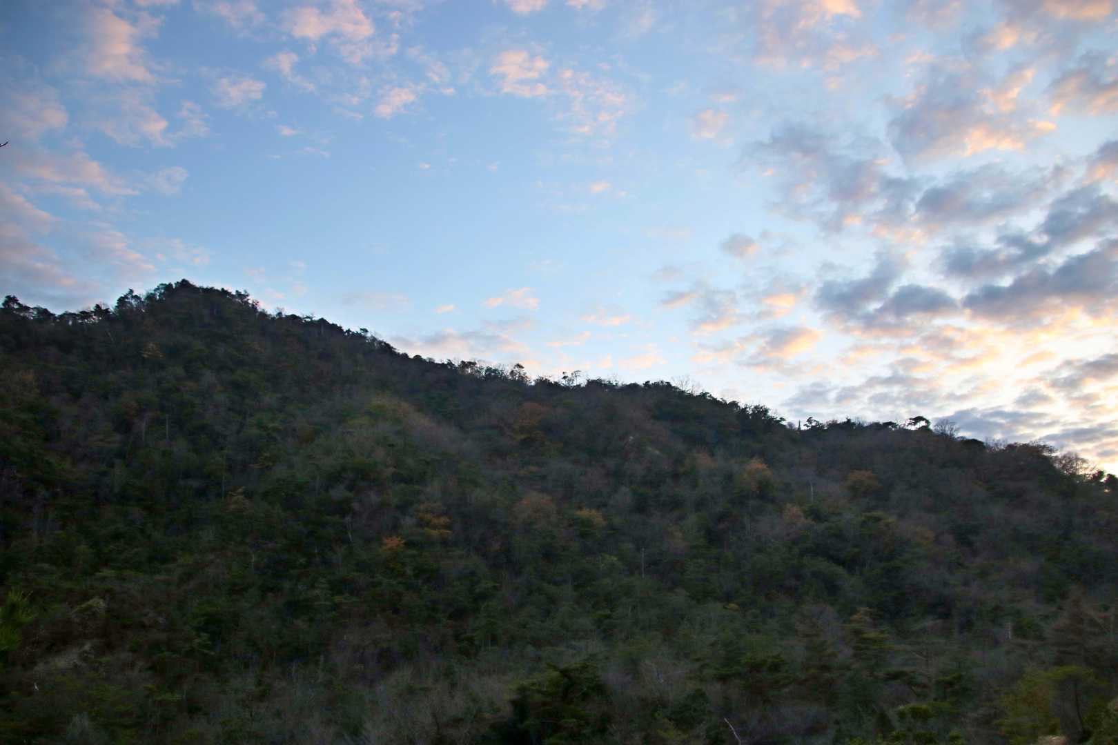 樫ヶ峰を下から2。
空が綺麗です。