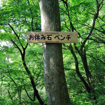 よく鳥達と触れ合ってる写真や動画を見る場所。
残念ながら鳥さん達はいらっしゃいませんでした🥲