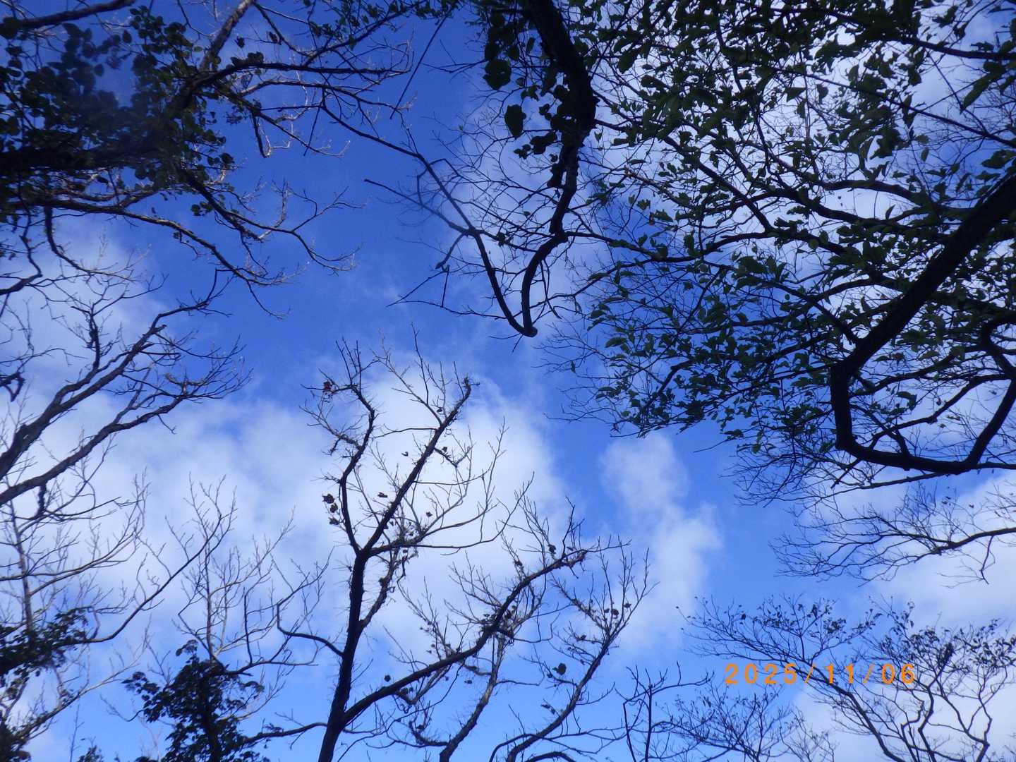 大満寺・鷲ヶ峰登山コース入口-大満寺山-大満寺山登り口 往復コースの写真
