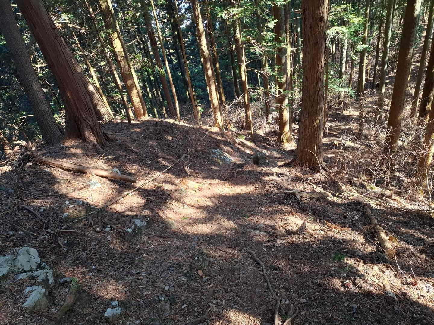 滑りそうなとこにお助けロープ