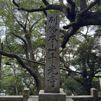 別格でした