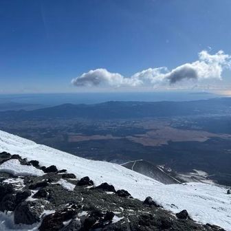 至って平和な感じだ🕊️