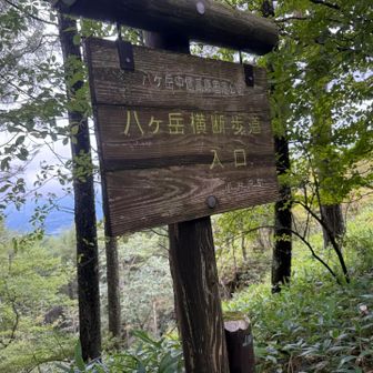 最後の登りは予想外でしたが、無事に終わりました