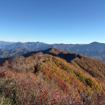 歩いて来た道