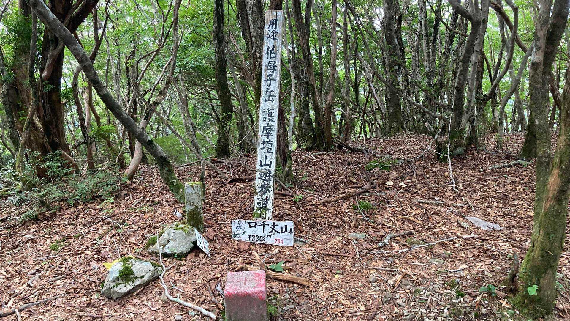 口千丈岳登山口-口千丈山-焼山ノ太尾ノ頭 往復コースの写真