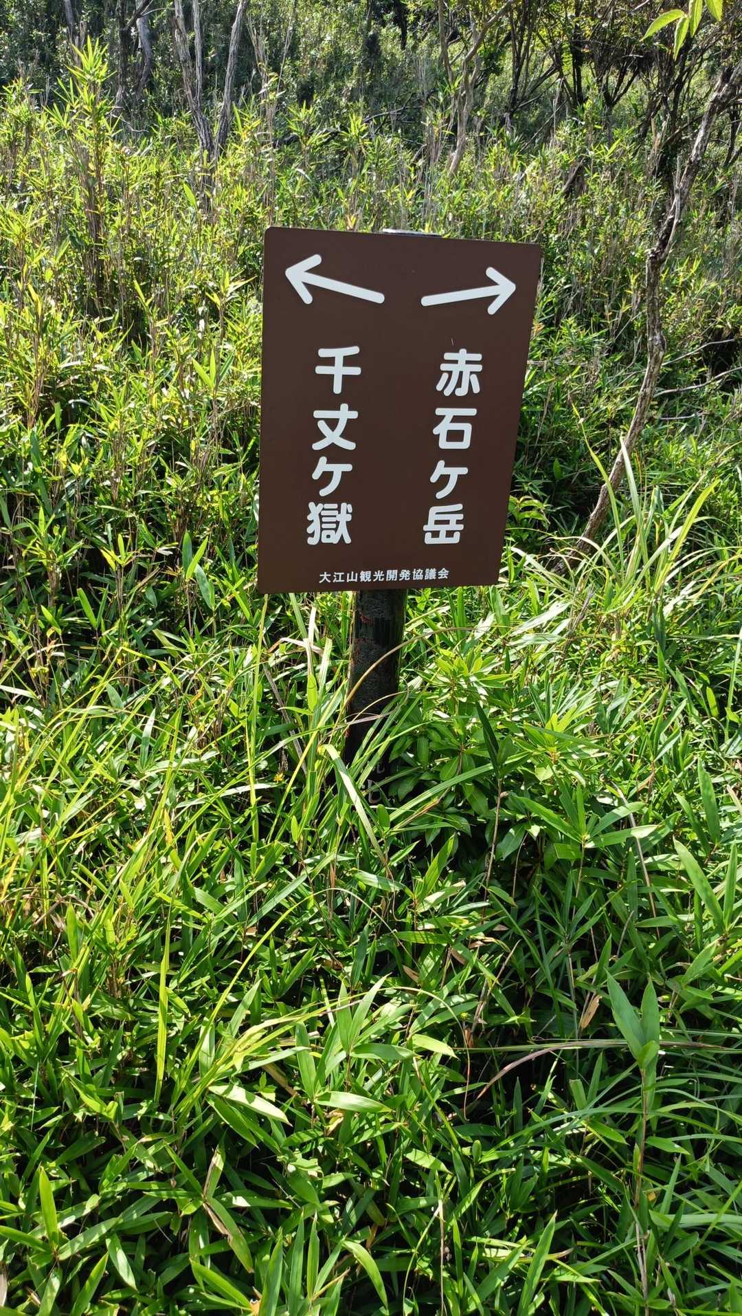 右　赤石ケ岳
左　仙丈ケ獄