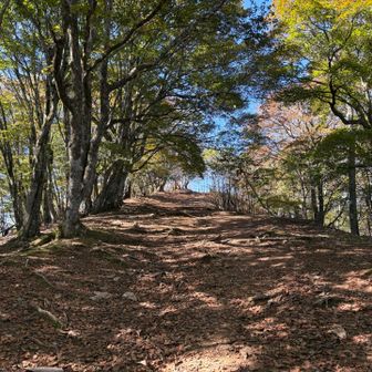 山頂手前