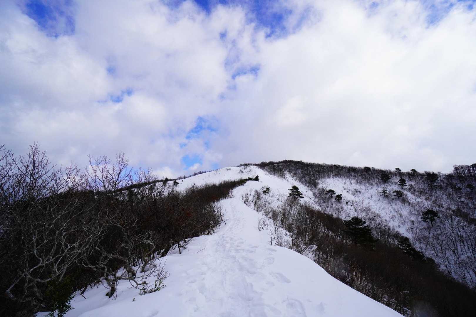 わぉ💕
