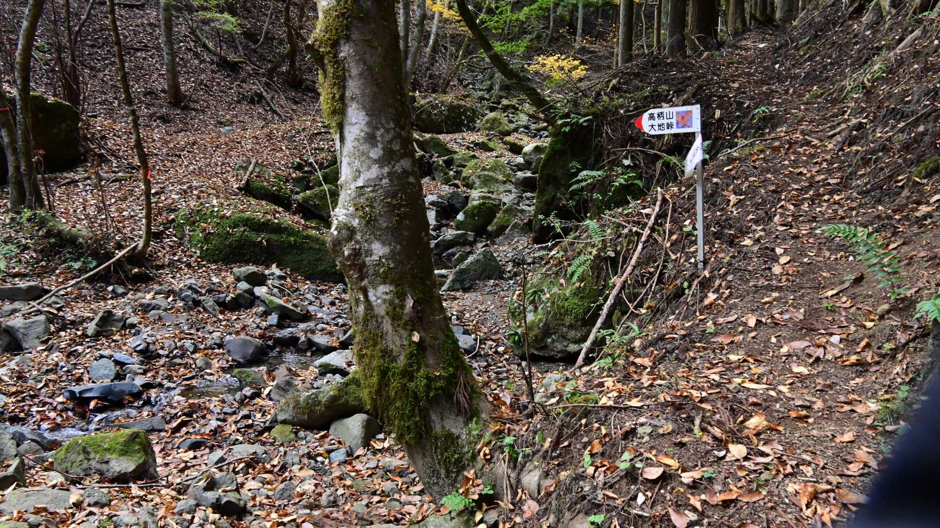 まっすぐ行きたくなりますが左に渡渉し更に左の土手へ