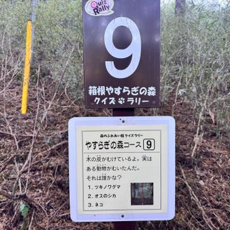 さすがに全部は探さなかったです💦