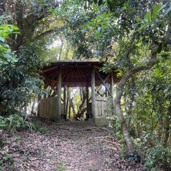 藪の中で全く風がなくサウナのような山頂。
