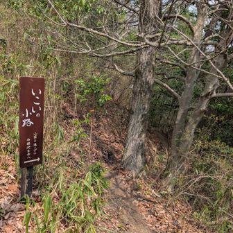 いこいの小路よりUターン下ります