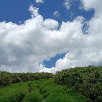 ミャクミャク雲🤣