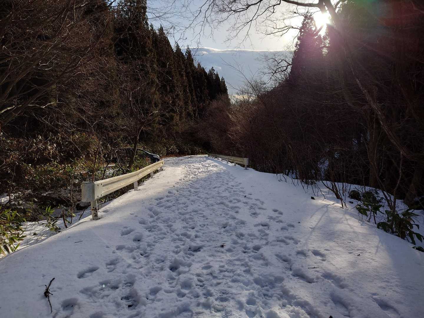 額取山 往復コースの写真