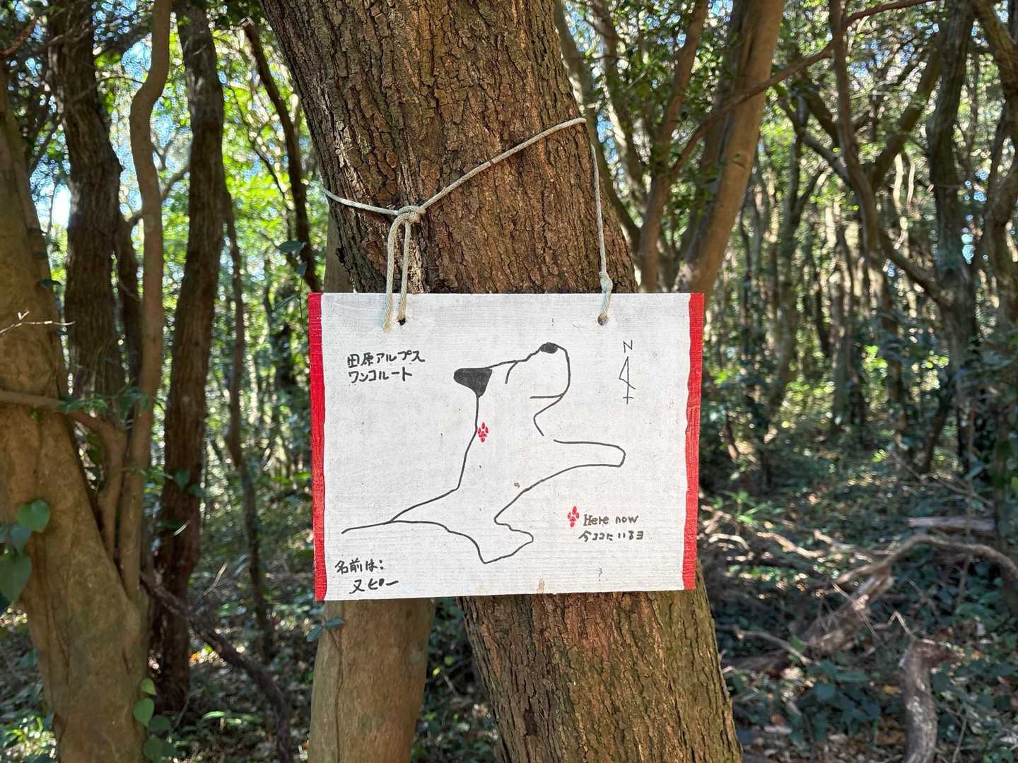 衣笠山 往復コースの写真