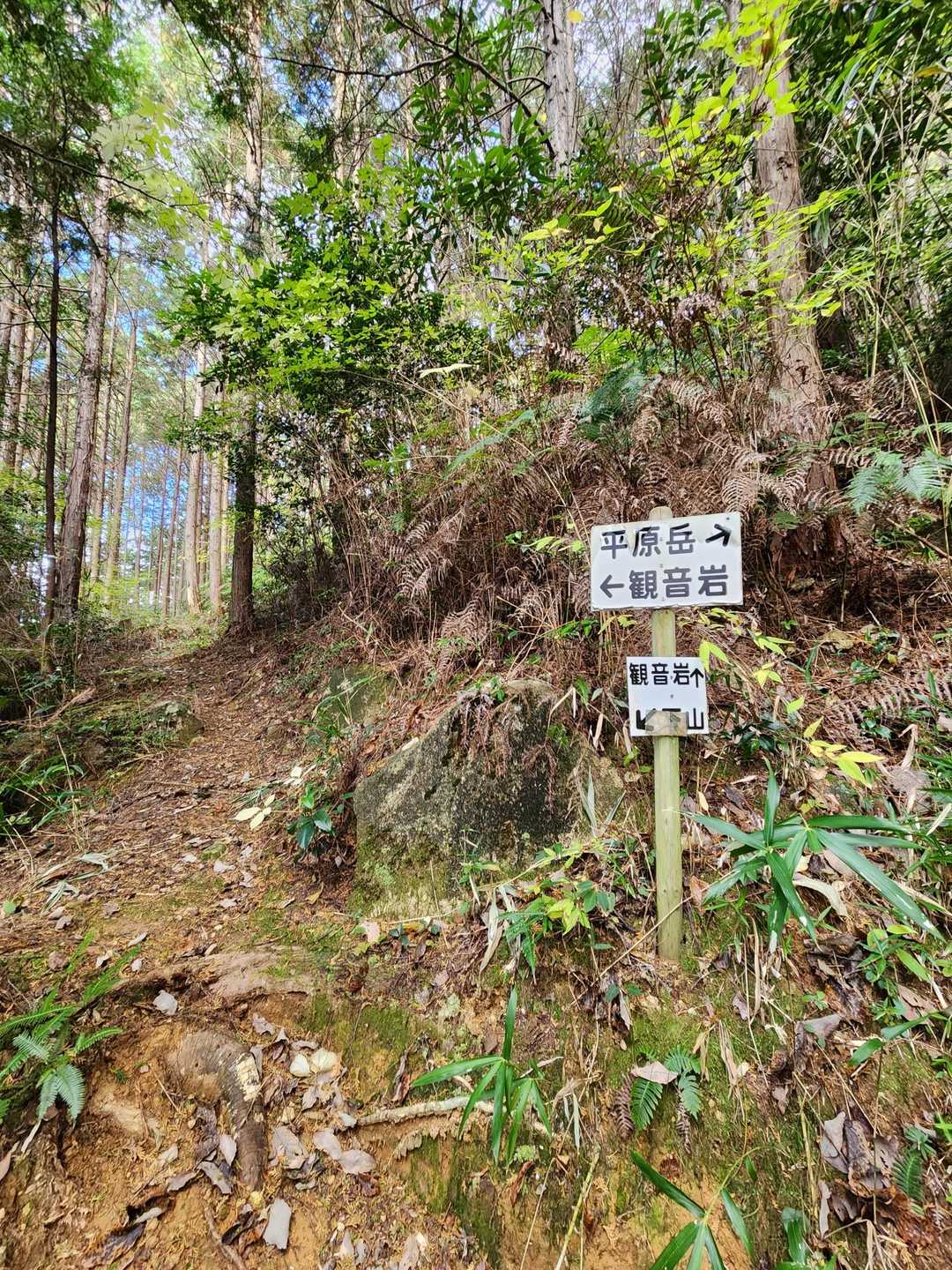 左の観音岩の方から登る！