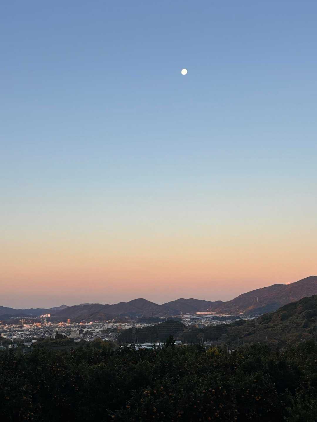 砥神山-御堂山 周回コースの写真