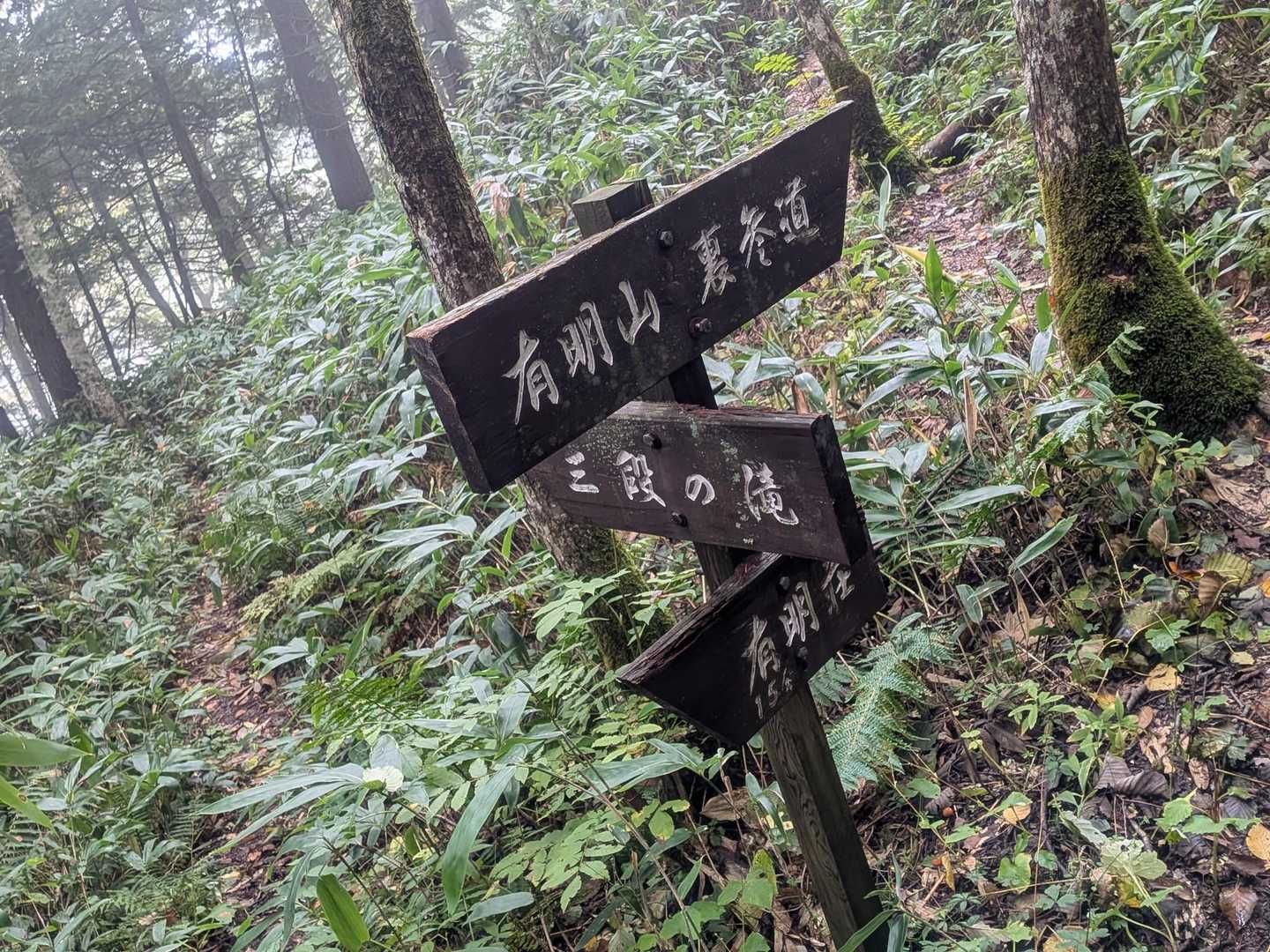 気が抜けない下山で疲れました💦
三段の滝見たかったけど…ガスガスなので諦めて第3駐車場へ