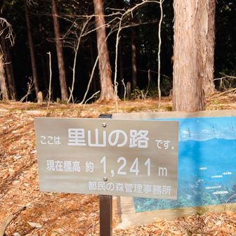 来る途中、
戸沢峯、栂の尾の山標を探したけど見つからず、、、帰りにまた探そう