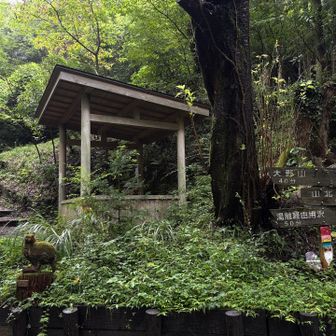 往路との分岐に戻りました

この後スタート地点の駐車場に戻って
着替えて片付けて出発🚗=3