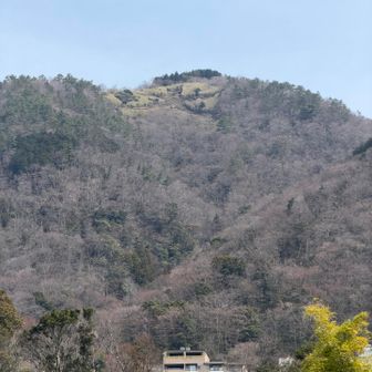 大文字焼きもよく見えます