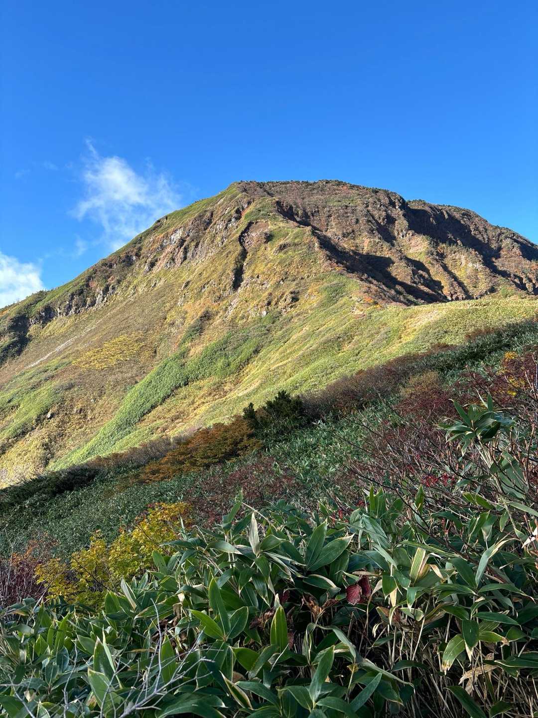 祓川登山口-山頂駅-神楽ヶ峰-苗場山 縦走コースの写真