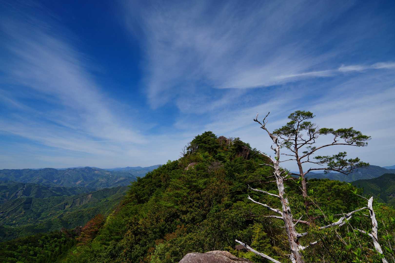 尾根沿いを歩いて稗ノ山へ向かいます。
比叡山を振り返る。