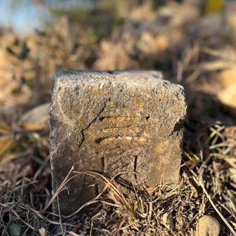 点名: 大谷道
標高: 83.68 m
種別: 三等三角点