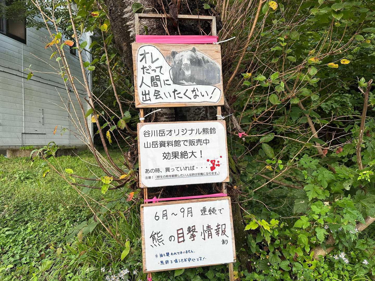 私も会いたくありません😅